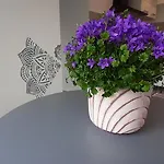 Háziállatbarát Bichon Medencehasználattal * Fonyód
