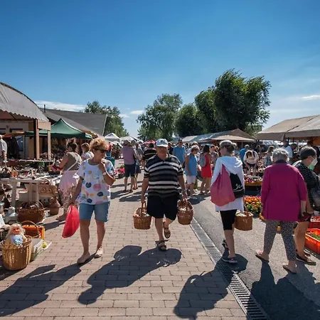 Haziallatbarat Bichon Nyaralo Medencehasznalattal Fonyód