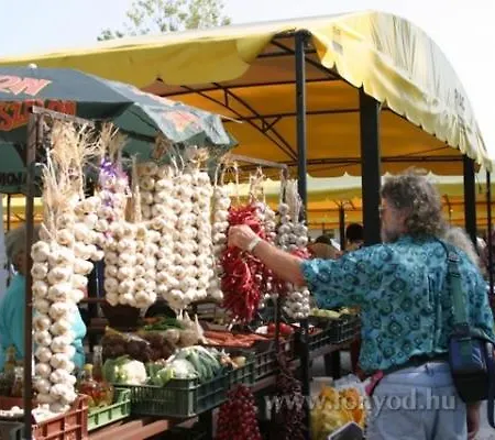 بيت للعطل Haziallatbarat Bichon Nyaralo Medencehasznalattal Fonyód