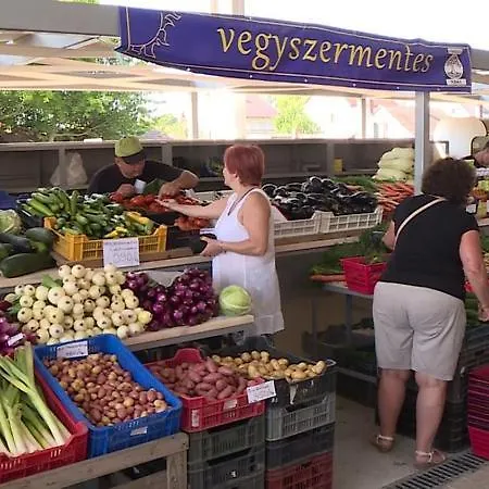 Haziallatbarat Bichon Nyaralo Medencehasznalattal Prázdninový dům