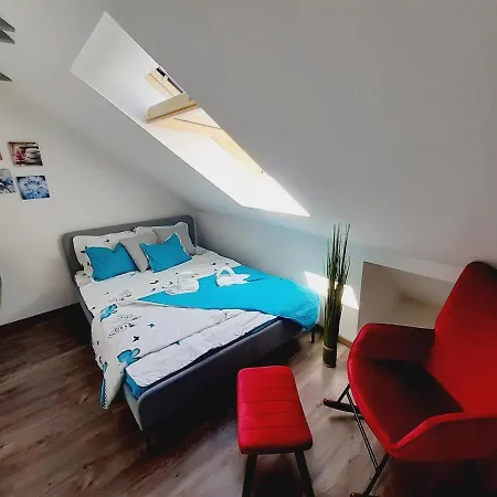 Háziállatbarát Bichon Medencehasználattal *