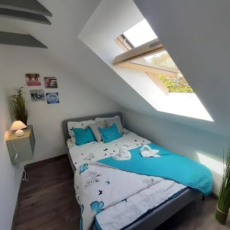 Tatil Evi Haziallatbarat Bichon Nyaralo Medencehasznalattal